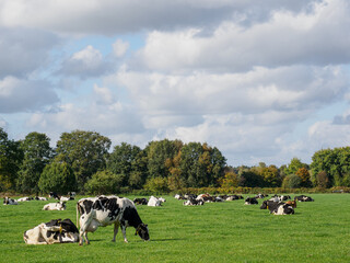 Sch&uuml;ttorf an der Vechte