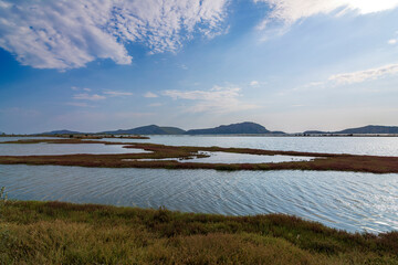 View of gialova lagoon. The gialova lagoon is one of the most important wetlands in Europe.