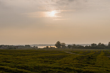 Fototapeta premium sunset over the field