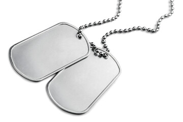 Fototapeta premium Blank Dog Tags