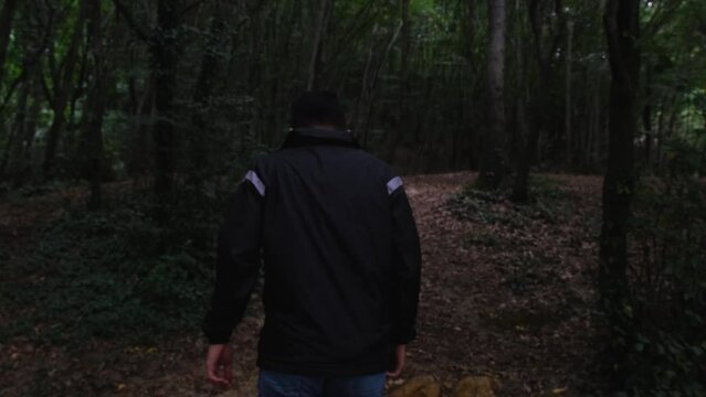 Man climbing and walking in forest, dark gloomy weather in nature video, trekking and hiking concept