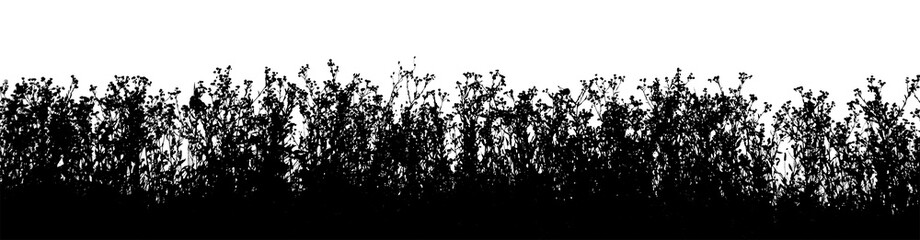 Grass and wildflower silhouettes border isolated on white background