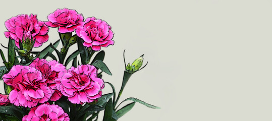 Happy Mothers Day card with pink carnation flowers illustration isolated on gray background