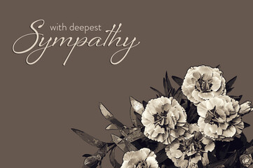 Sympathy card with white carnation illustration - obrazy, fototapety, plakaty