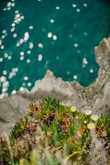 Rough ocean with waves and rocks landscape