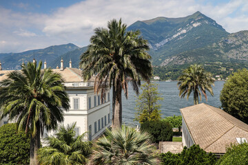 Fototapeta na wymiar Villa Menzi with Palm Tree in Bellagio. Beautiful View of Italian Architecture with Lake Como and Hilly Mountain in Botanical Garden during Summer Day.