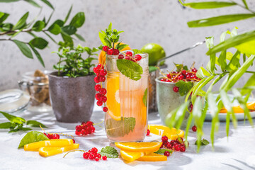 Detox cocktail with mint, red currant, orange and lime for mojito cocktail in highball glasses on a...