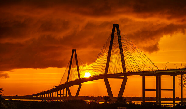 Ravenel 7