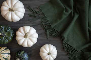 Fototapeta premium White and green gourds with a cozy green blanket all on a dark wood background with copy space