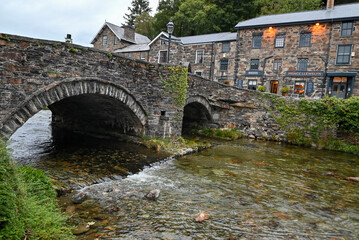 Fototapeta premium the bridge