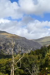 landscape with clouds