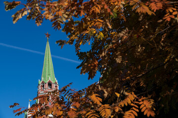 Troitskaya Tower of Moscow Kremlin in autumn sunny day. Blurred orange rowan tree leaves in the foreground. Copy space for your text. Selective focus. Travel in Russia theme.