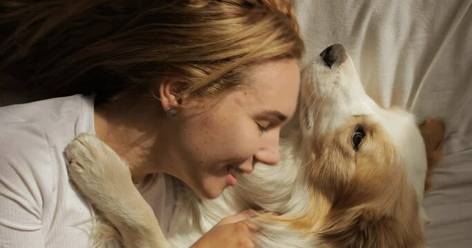 top view of Close up very tender portrait of smiling young women huggin red dog puppy Border Collie in bed. white sheets and tshort. morning light.