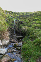 stream in the mountains