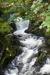 waterfall in the forest