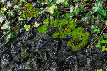 Background, inset the picture or text on this, will get great result. High quality photo