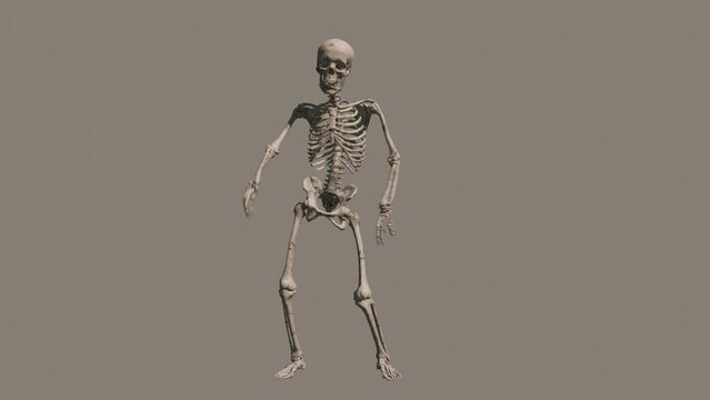 Looped animation of a dancing skeleton on a transparent background