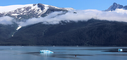 Alasca summer scenery in the Tracy Arm Fjord
