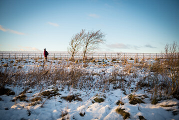 A jogger wearing winter clothes and a hat runs past two solitaire trees across a path covered in...