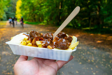 Traditional street food in Belgium, French fried potatoes with beef stew and mayonnaise