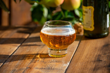 Making and tasting of fresh apple cider produced on organic farm from bio apples in Normandy, France
