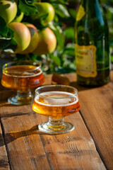 Making and tasting of fresh apple cider produced on organic farm from bio apples in Normandy, France