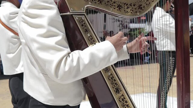 group of mariachi mexican music playing harp virtuously in a public mexican fiesta at a park