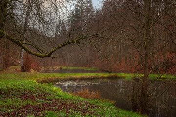 Lake in the autumn forest in the month of October