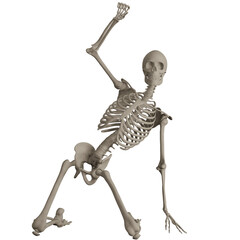 skeleton posing 3d render illustration