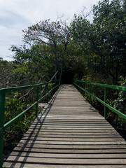 Fototapeta na wymiar Wooden bridge that gives access to the pier at Lagoa de Marapendi. Vegetation and the lake around. Reserva beach in Rio de Janeiro