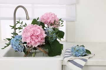 Vase with beautiful hortensia flowers in kitchen sink
