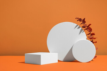 Scene with podium for product presentation. Figures of different geometric shapes and dry...
