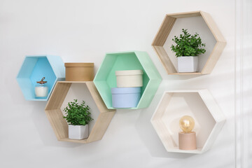 Honeycomb shaped shelves with decorative elements and houseplants on white wall