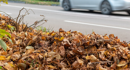 Heap of dry fallen autumn leaves on blurred road background with car in motion blur