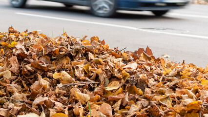 Heap of dry fallen autumn leaves on blurred road background with car in motion blur