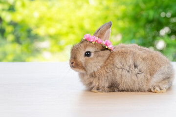Adorable baby rabbit bunny with white red paper roses on head sitting on wood green bokeh...