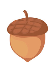 acorn nut design
