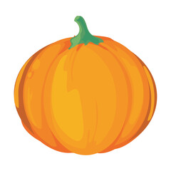 orange pumpkin design
