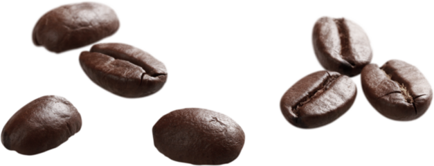 Coffee beans - isolated image