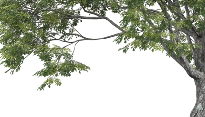 Various types of tree branch plants bushes shrub and and small plants isolated