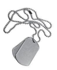 Fototapeta premium Blank Dog Tags