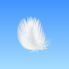 Vector 3d Realistic Falling White Fluffy Twirled Feather Closeup on Blue Sky Background. Design Template of Angel, Bird Detailed Feather. Lightness and Freedom Concept