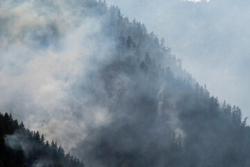 Nohomin Creek Forest Fire