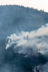 Nohomin Creek Forest Fire