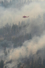 Nohomin Creek Forest Fire