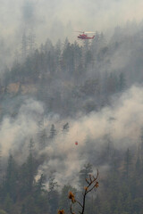 Nohomin Creek Forest Fire