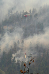 Nohomin Creek Forest Fire