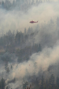 Nohomin Creek Forest Fire