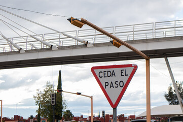 yield street sign in spanish 