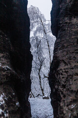 Winter view of a landscape of Tiske steny rocks, Czech Republic